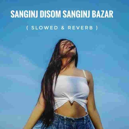 Sanginj Disom Sanginj Bazar (Slowed & Reverb) 